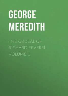 George Meredith The Ordeal of Richard Feverel. Volume 1 обложка книги