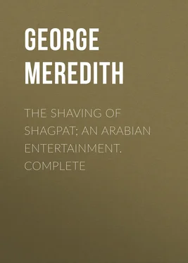 George Meredith The Shaving of Shagpat; an Arabian entertainment. Complete обложка книги