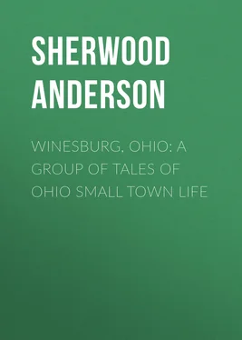 Sherwood Anderson Winesburg, Ohio: A Group of Tales of Ohio Small Town Life обложка книги