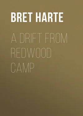 Bret Harte A Drift from Redwood Camp обложка книги