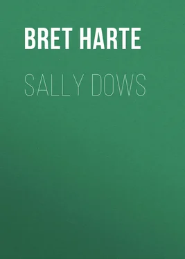 Bret Harte Sally Dows обложка книги