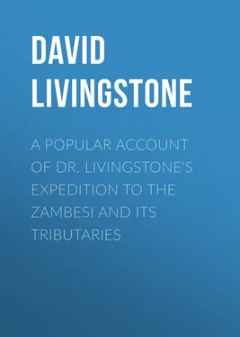 David Livingstone A Popular Account of Dr. Livingstone's Expedition to the Zambesi and Its Tributaries обложка книги