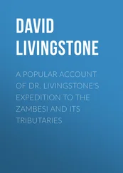 David Livingstone - A Popular Account of Dr. Livingstone's Expedition to the Zambesi and Its Tributaries