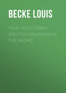 Louis Becke Five-Head Creek; and Fish Drugging In The Pacific обложка книги