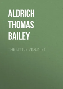 Thomas Aldrich The Little Violinist обложка книги