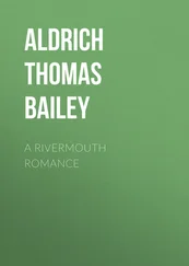 Thomas Aldrich - A Rivermouth Romance