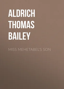 Thomas Aldrich Miss Mehetabel's Son обложка книги