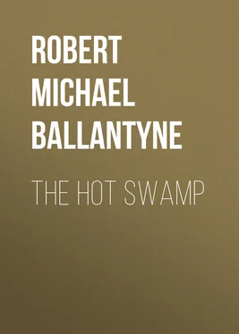 Robert Michael Ballantyne The Hot Swamp обложка книги