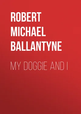 Robert Michael Ballantyne My Doggie and I обложка книги