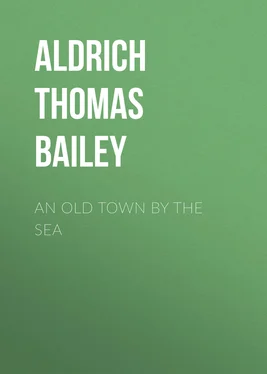 Thomas Aldrich An Old Town By the Sea обложка книги