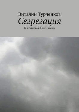 Виталий Турченков Сегрегация. Книга первая. В пяти частях обложка книги