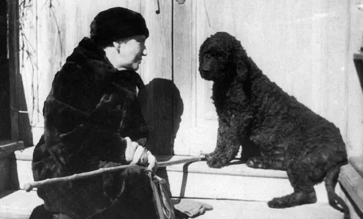 Елизавета Петровна с пуделем Диком Деденево 1939 г Елизавета Петровна с - фото 241