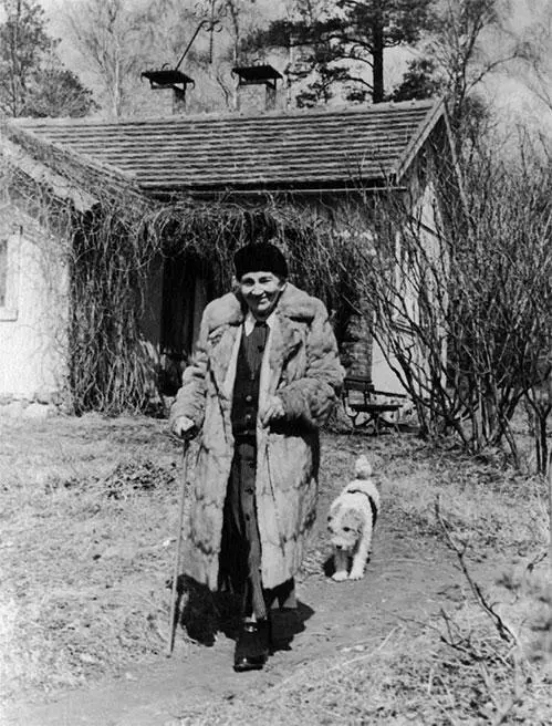 Елизавета Петровна со своим другом Тимкой Апрель 1957 г Глава 17 Поездки в - фото 260