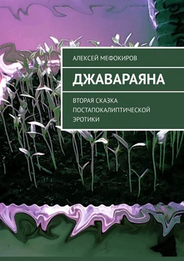 Алексей Мефокиров Джавараяна. Вторая сказка постапокалиптической эротики обложка книги