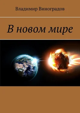 Владимир Виноградов В новом мире обложка книги