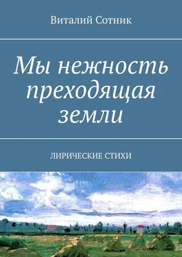 Виталий Сотник Мы нежность преходящая земли. Лирические стихи обложка книги