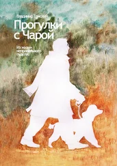 Владимир Ермолин - Прогулки с Чарой. Из жизни неправильного пуделя