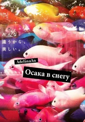 Adelina An - Осака в снегу