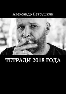 Александр Петрушкин Тетради 2018 года обложка книги