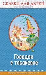 Всеволод Гаршин - Городок в табакерке