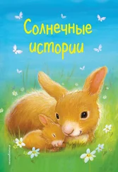 Кэролайн Питчер - Солнечные истории