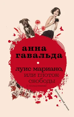 Анна Гавальда Луис Мариано, или Глоток свободы (с последствиями) обложка книги