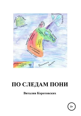 Виталия Коротовских По следам пони обложка книги