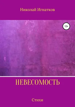 Николай Игнатков Невесомость. Книга стихотворений обложка книги