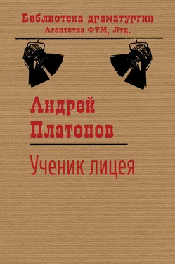 Андрей Платонов Ученик лицея обложка книги