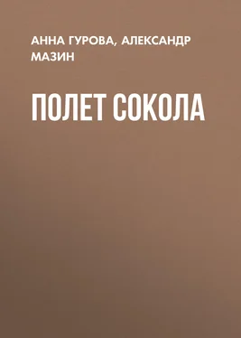 Александр Мазин Полет сокола обложка книги