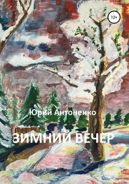 Юрий Антоненко Зимний вечер обложка книги