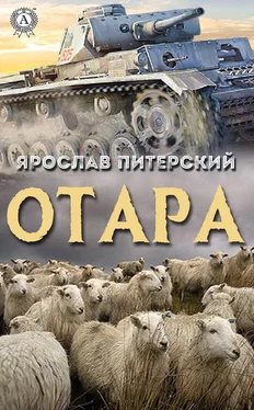 Ярослав Питерский Отара обложка книги