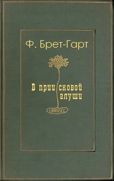 Фрэнсис Гарт В приисковой глуши обложка книги