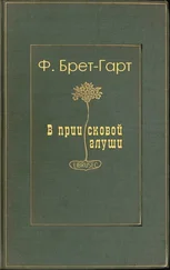 Фрэнсис Гарт - В приисковой глуши