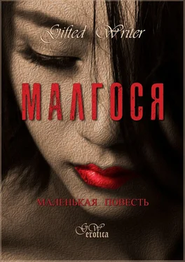 Gifted Writer Малгося. Маленькая повесть обложка книги