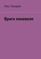 Лисс Захаров - Враги поневоле
