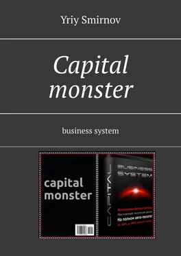 Yriy Smirnov Capital monster. Business system обложка книги