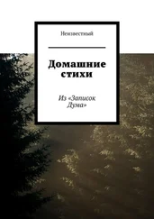 Неизвестный - Домашние стихи. Из «Записок Дума»