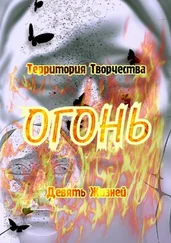 Валентина Спирина - Огонь. Девять Жизней