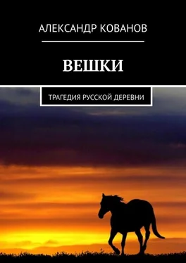 Александр Кованов Вешки. Трагедия русской деревни обложка книги