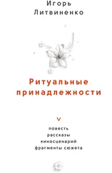 Игорь Литвиненко - Ритуальные принадлежности