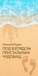 Николай Кудин - Под взглядом пристальным чудовищ