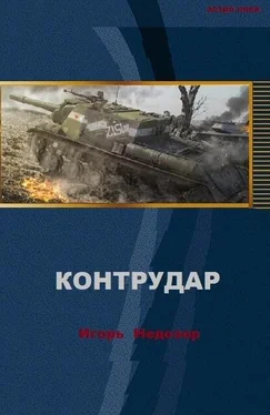 Игорь Недозор Контрудар обложка книги