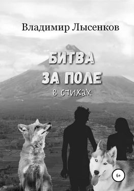 Владимир Лысенков Битва за поле в стихах обложка книги