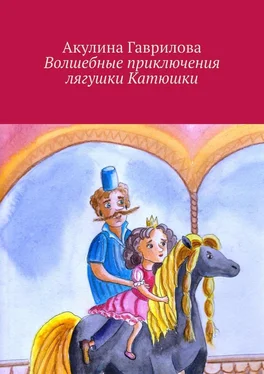 Акулина Гаврилова Волшебные приключения лягушки Катюшки обложка книги