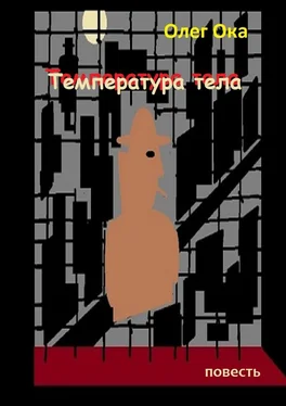 Олег Ока Температура тела обложка книги