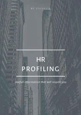 BY STUDYLIE HR Profiling обложка книги