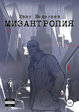 Иван Веденеев Мизантропия обложка книги