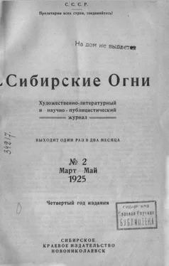 Исаак Гольдберг Никшина оплошность обложка книги