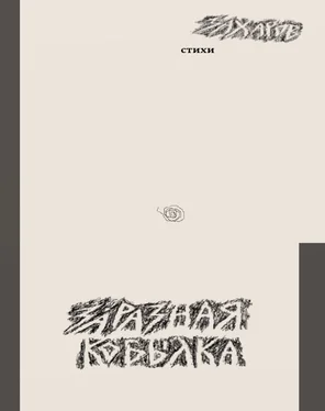 Владимир Захаров Заразная кобылка обложка книги